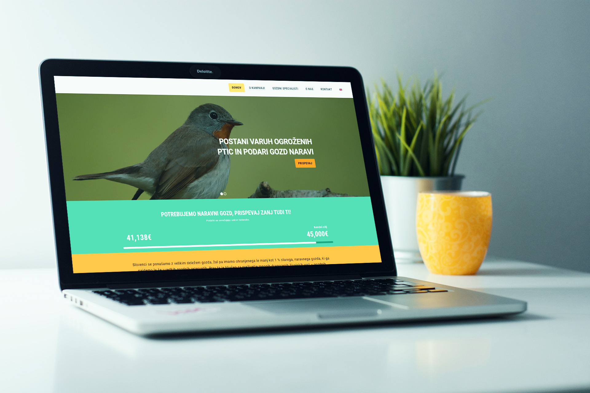 DOPPS Forest Specialists homepage with progress graph